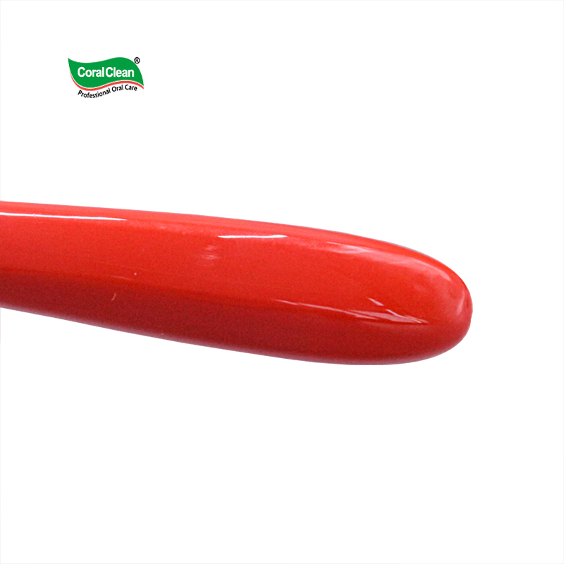 Tongue Cleaning Tool Tongue Coating Brush 2-piece Set Travel Daily Tongue Scraper