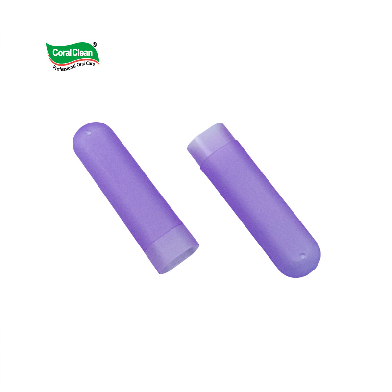 High Quality Toothbrush Case for Travel Tooth Brush Holder