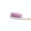 Toothbrush Manufacturer Supplier Brosse Dents Nylon Poils Durs Escova Dental Tooth Brush