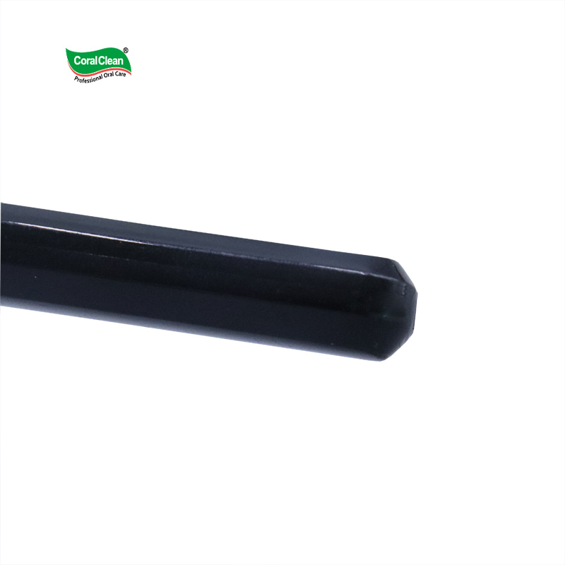 Double Pack Adult Plastic Toothbrush with 10000 Bristles Extra Soft Bristles That Do Not Harm Gums