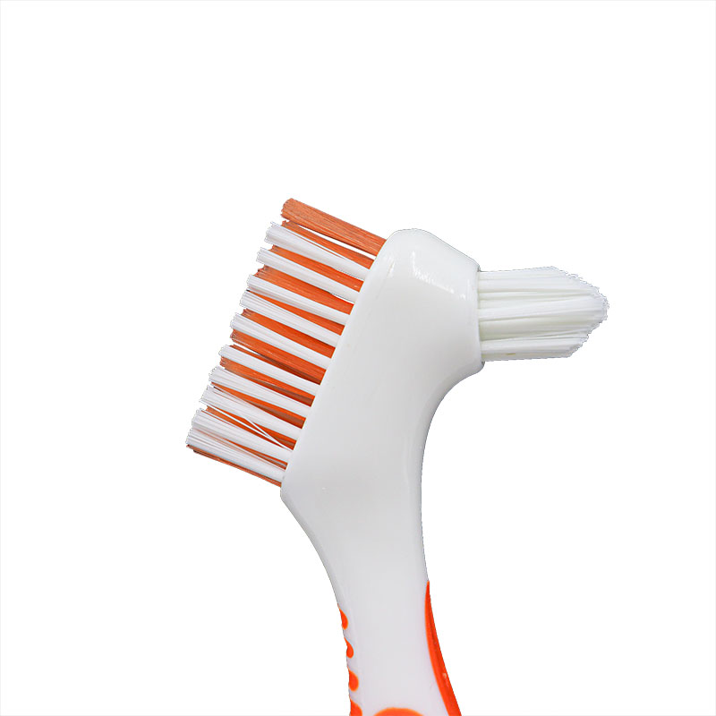 Wholesale Denture Brush Caja De Bao Para Dentaduras Prosthesis Brush Storage Brush Tooth