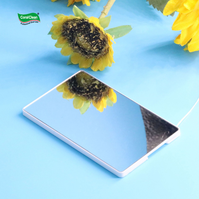 Wholesale Credit-Card Sized Floss Container Pocket Travel Dental Floss Cards Nylon Waxed Mint Floss Pick Dispenser with Mirror