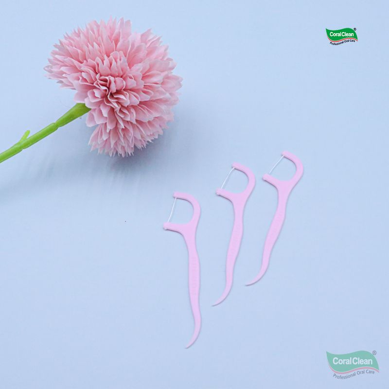 Wholesale Bulk 50Pcs Dental Floss Picks Eco Friendly Plastic Handle Mint Flavor Waxed Teeth Flosser for Home Travel & Office Use