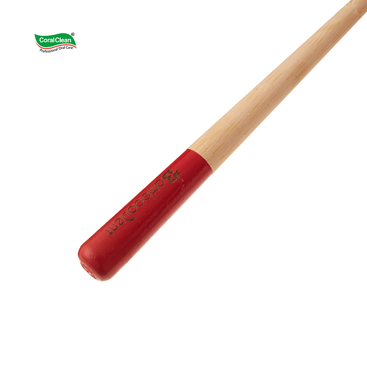Personal Care High Quality Soft Bristles Adult Bamboo Toothbrush