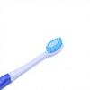 Dental Oral Care Nylon Bristles PP TPR Handle Flexible Cleaning Non Slip Grip Adult Toothbrush Home Travel Bulk Supplier