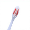 OEM ODM Wholesale Adult Foldable Travel Toothbrush PP Handle Nylon Bristles Portable Dental Oral Care Hotel Home Use
