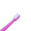 Customized Exporter Bulk Supply Nylon Bristles PP Handle Blue Rose Red Dental Oral Care Adult Toothbrush Home Travel Use