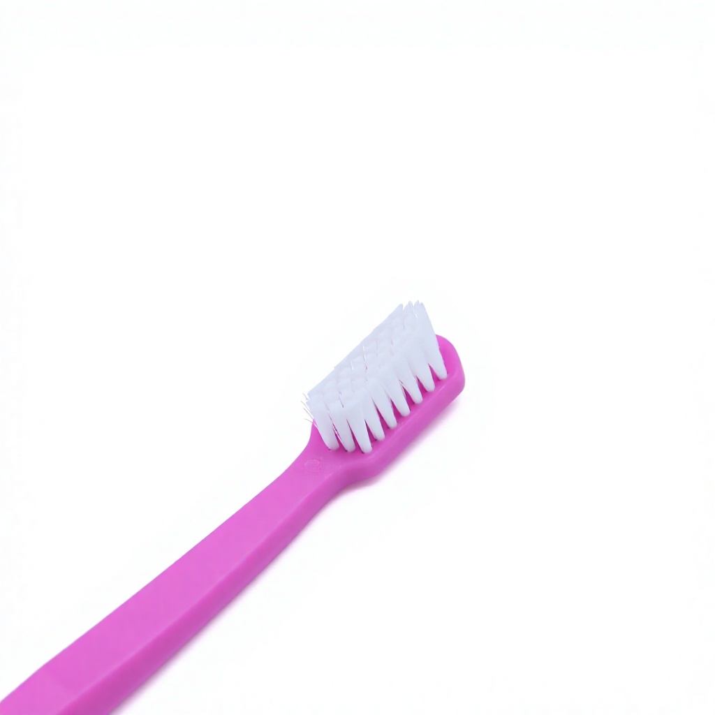Customized Exporter Bulk Supply Nylon Bristles PP Handle Blue Rose Red Dental Oral Care Adult Toothbrush Home Travel Use