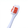 OEM ODM Wholesale Adult Foldable Travel Toothbrush PP Handle Nylon Bristles Portable Dental Oral Care Hotel Home Use