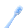 Pink Blue Green Soft Bristles Adult Toothbrush Nylon Tapered Bristles Anti Slip Handle Regular Size for Home Use
