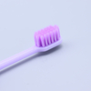 Portable Foldable Travel Toothbrush Soft Nylon Bristles PP Handle Adult Oral Care for Business Trips