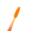 Long Head Adult Manual Toothbrush PETG Handle Nylon Bristles Tongue Scraper Texture Daily Cleaning