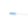 Manufacturer Travel Folding Toothbrush with Toothpaste Hotel