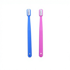 Customized Exporter Bulk Supply Nylon Bristles PP Handle Blue Rose Red Dental Oral Care Adult Toothbrush Home Travel Use